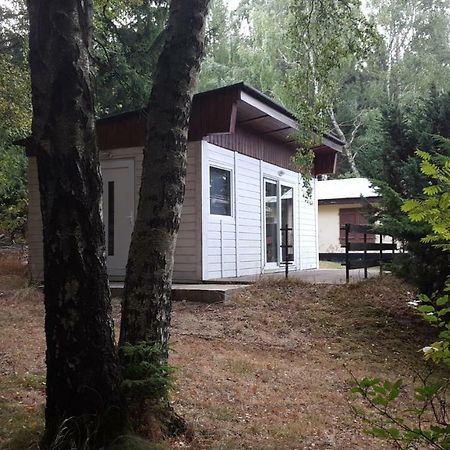 Bungalowdorf Klein Budelsdorf 库罗阿尔滕堡 外观 照片