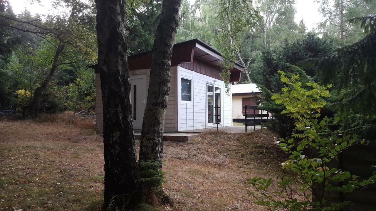 Bungalowdorf Klein Budelsdorf 库罗阿尔滕堡 外观 照片
